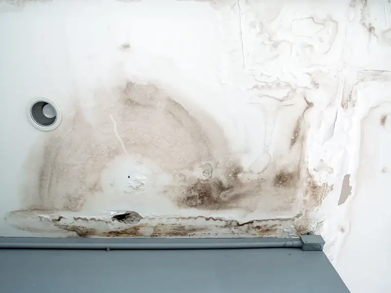 Water-damaged wall with mold stains and peeling paint.