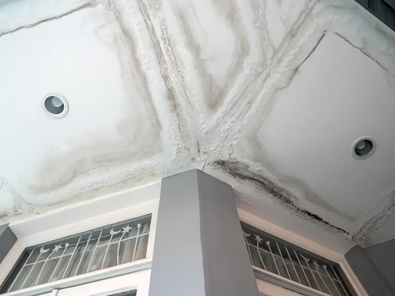 Water-damaged ceiling with mold stains above a window.