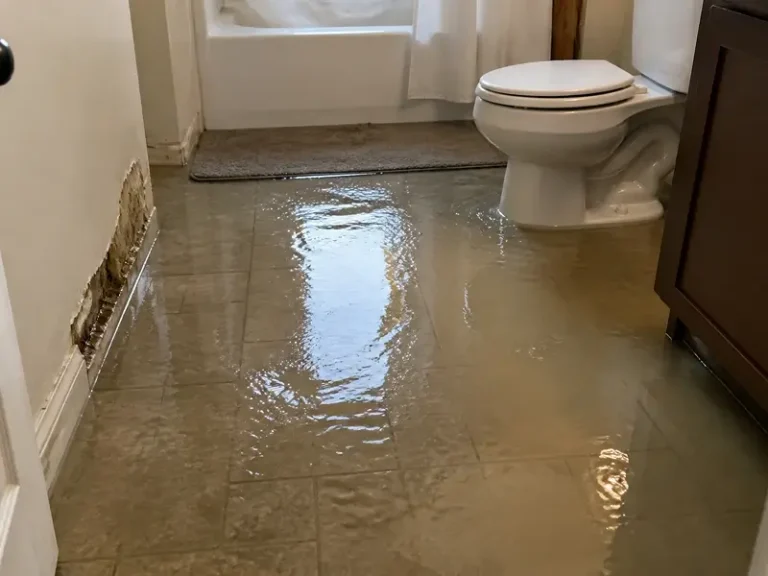 Flooded bathroom floor with standing water around a toilet.