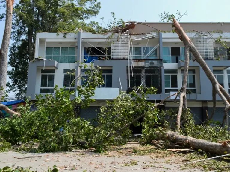 Fallen trees and branches block a damaged apartment building.
