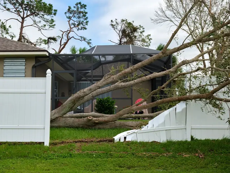 Fallen tree branches crush a white fence in a backyard.
